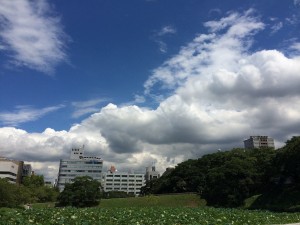 east summer sky