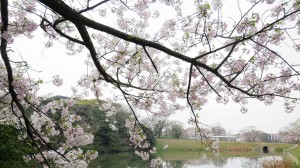 20160330 (2)