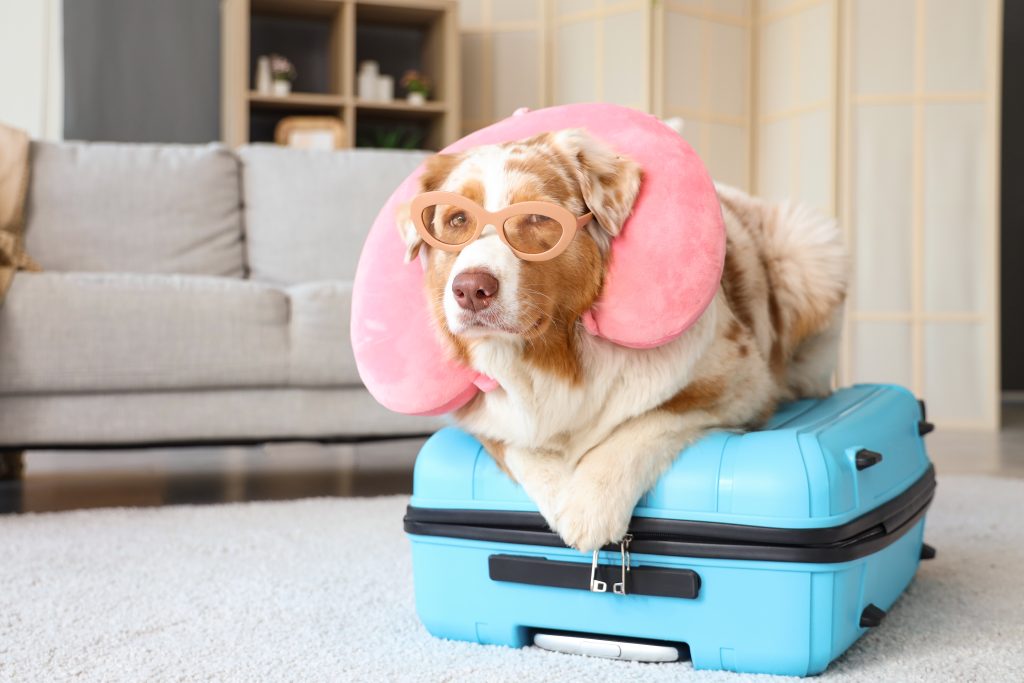 ゴールデンウィーク旅行のイメージ