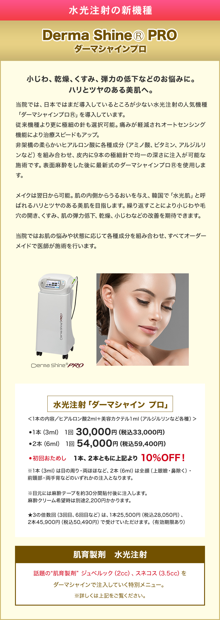 �_�[�}�V���C���v��